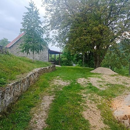 Vila Kamena Kuca- Stone House Scepanovic Bijela Savnik Exteriér fotografie